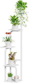 5 Tier Plant Stand Indoor, Plant Shelf by Asgolion