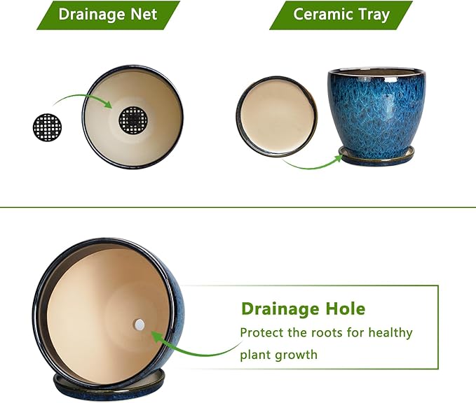 8 Inch Ceramic Planter Pot - Image 6