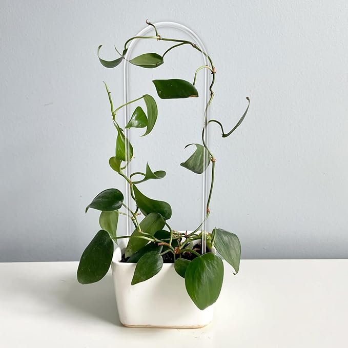 2 Pack U-Shaped Clear Acrylic Trellis - Image 5