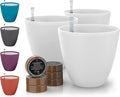 GARDENIX DECOR Self Watering Pots by Unknown