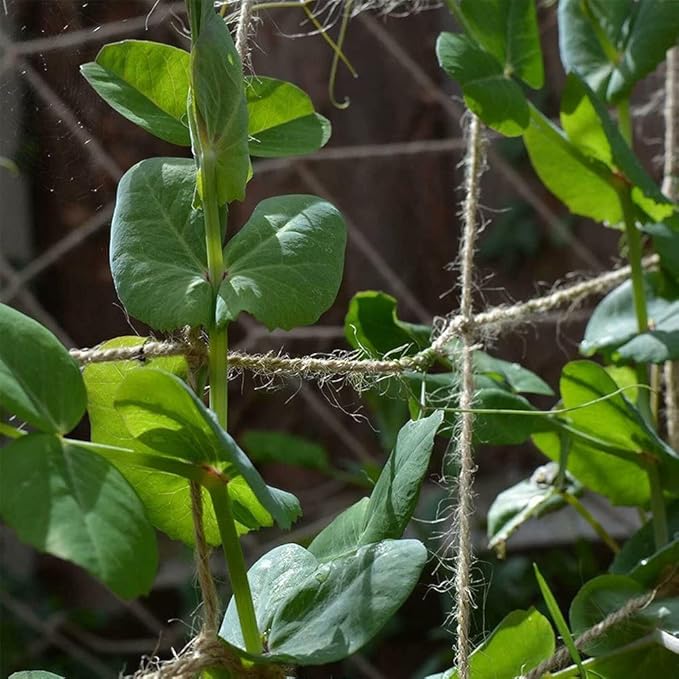 Jute Trellis Netting - Image 5
