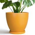 Ceramic Plant Pot by EPFamily