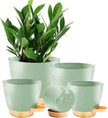 5-Pack Plant Pots with Drainage by Unknown