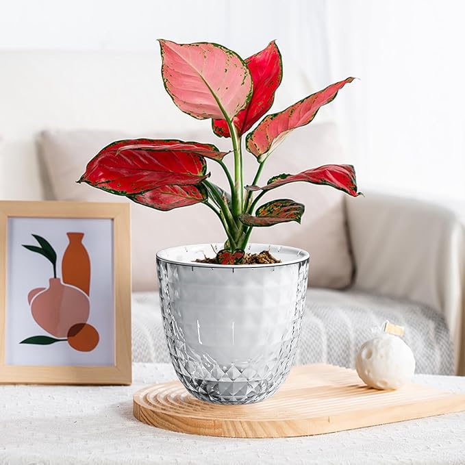 2 Pack 4 inch Self Watering Plants Pots Planters - Image 9