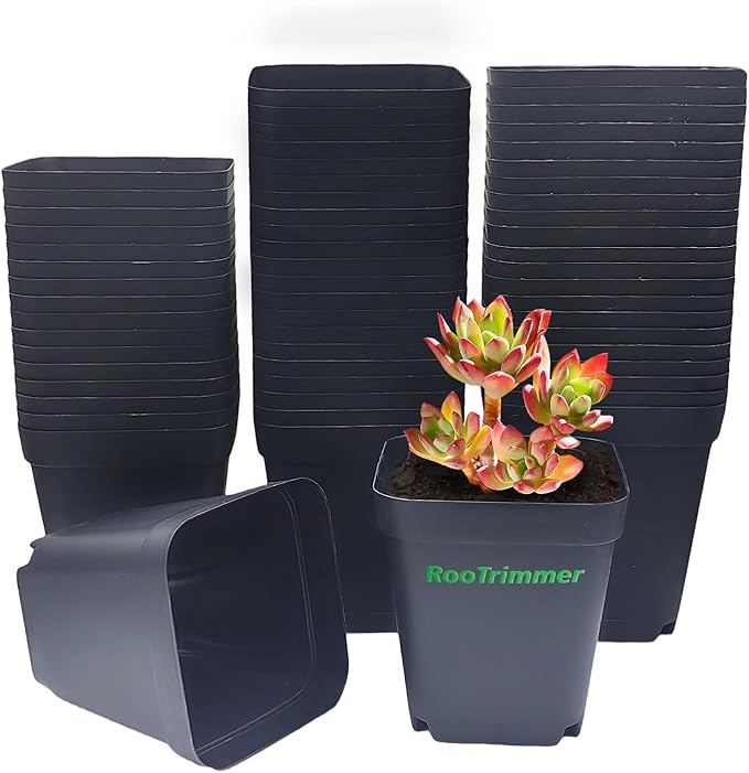 Square Nursery pots 4 Inches 60Pcs, Seedling Plastic Seeds propogation Growing by RooTrimmer