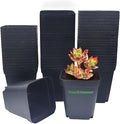 Square Nursery pots 4 Inches 60Pcs, Seedling Plastic Seeds propogation Growing by RooTrimmer