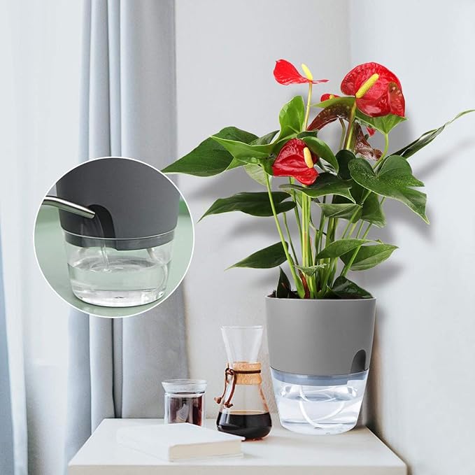 Vanavazon 6 Inch Self Watering Planter Pots - Image 7