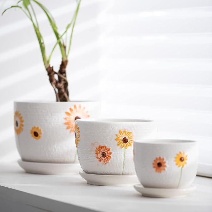 Ton Sin Plant Pots, 4+5+6 inch Pots - Image 2