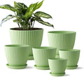 7.5/6.5/5.5/4.9/4.2/3.5 Inch Plant Pots by RooTrimmer
