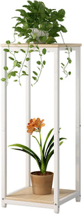 Plant Stand Indoor Corner Tall 2 Tier Metal Modern Flower Storage Plant Shelf by YIZAIJIA