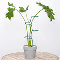 Set of 3 Sturdy Metal Plant Support Stakes by Goooxim
