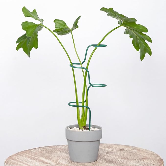 Set of 3 Sturdy Metal Plant Support Stakes by Goooxim