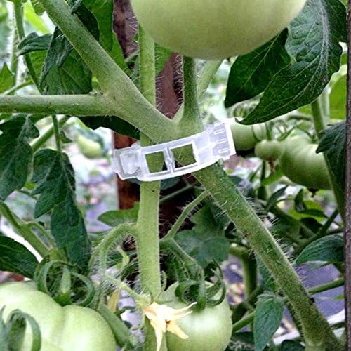 KINGLAKE Plant Support Garden Clips, Tomato Vine Clips, Tomato Trellis Clips - Image 5
