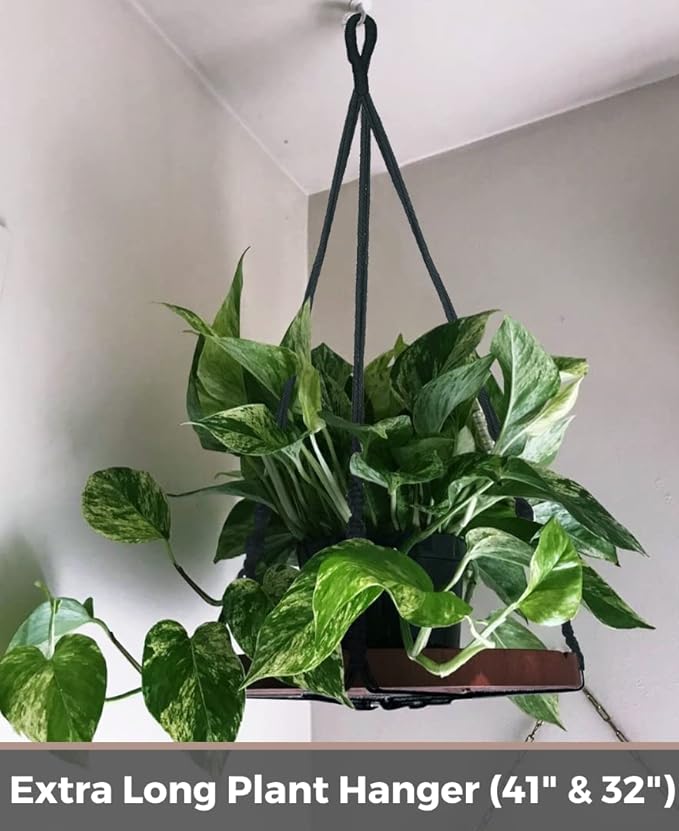 2 Pack Macrame Plant Hanger | Plant Hanger Indoor, Hanging Planter Shelf | - Image 8