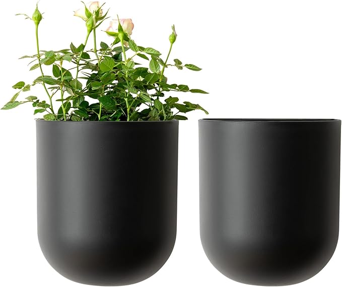 LA JOLIE MUSE Wall Hanging Planters by LaJol%C3%ADeMuse
