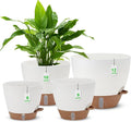 12" 10" 9" 8" Self Watering Pots by Ezmixcoop