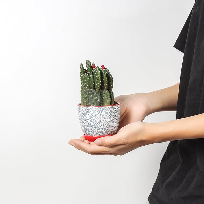 Selamica Ceramic Succulent Pots, 3.5 Inch Small Plant Pots - Image 7