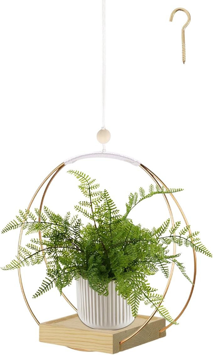 Hanging Planter for Indoor Plants, Plant Hanger by hismocal