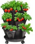Strawberry Planters, 3 Tiered Vertical Stackable Planter, Herb Stacking Tower by Lykvrii