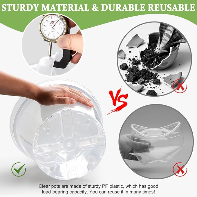 10 Pack 10 Inch Clear Nursery Pots - Image 4