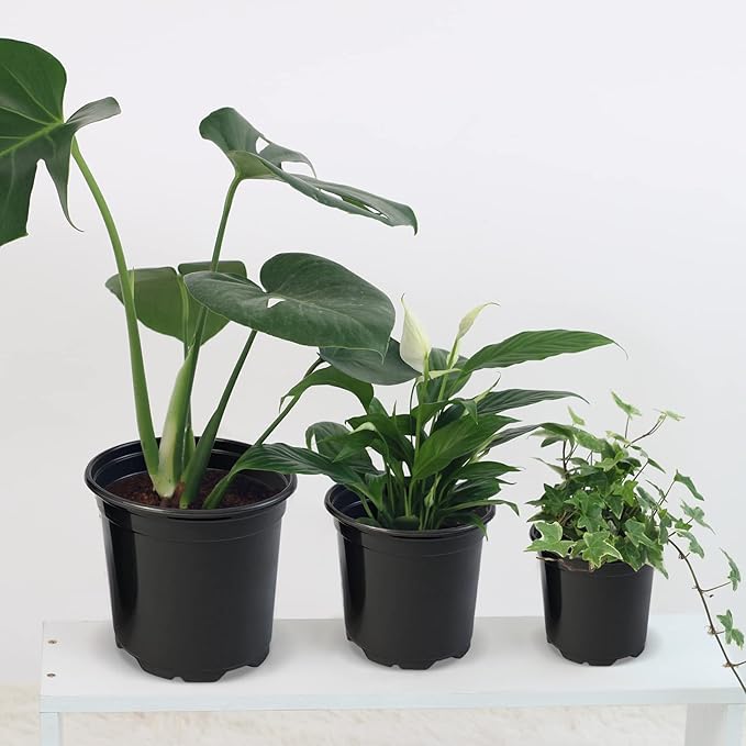RAOOKIF 50 Pack Nursery Pots, 3 Inch Nursery Pot - Image 5