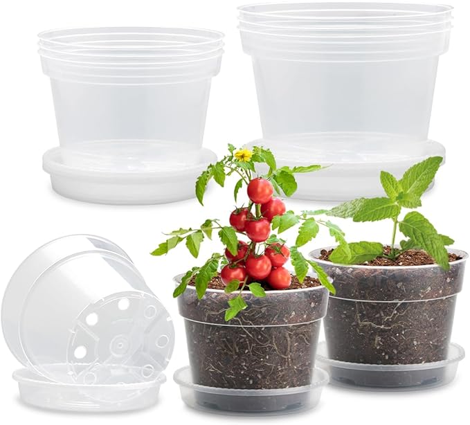 9 Pack 8/7/6 Inch Clear Nursery Pots by BTPLASTIK