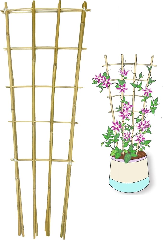 Natural Bamboo Trellis, Fan-Shaped Plant Support Trellis by GUANGYE