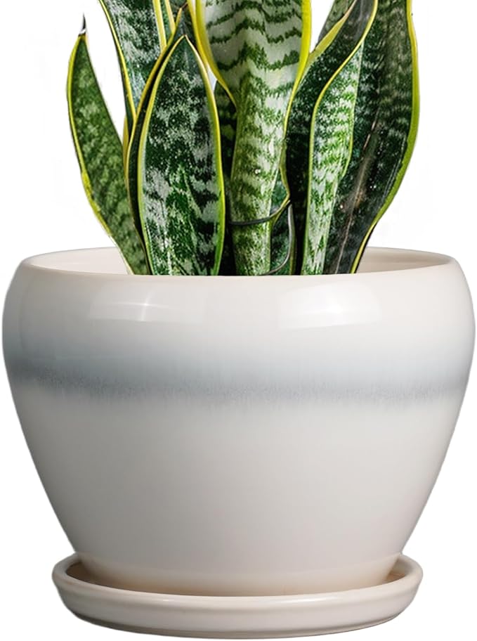 Ceramic Planter by Ceramicfor