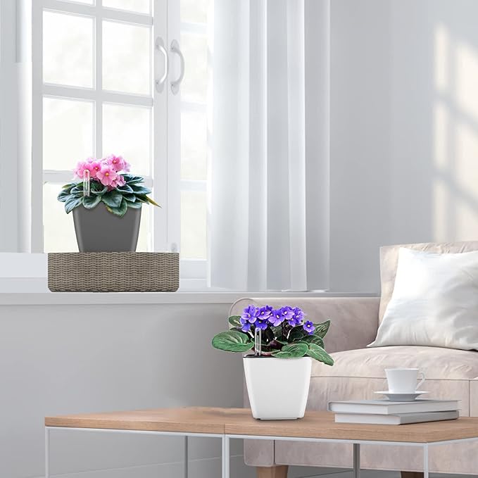 Self Watering Planters for Indoor Plants : 5 inch 6 Pack Grey Planter - Image 5