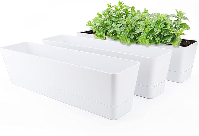 GREANER Window Boxes Planters, Indoor Succulent Cactus Flowers Vegetable by GREANER
