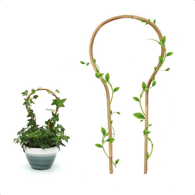 3Pack Bamboo Trellis 16 Inch Round Shaped Small Plant Trellis by Coloringyourleisuretime