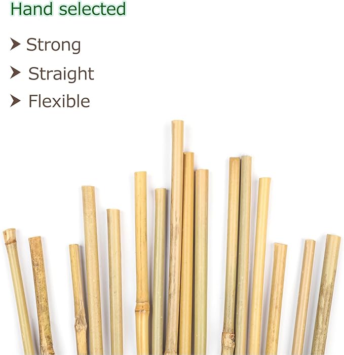 40pcs Natural Bamboo Sticks for Indoor and Outdoor Plants, 16 Inch Plant - Image 2