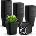 80 Pcs Nursery Pots 4 Inch, Plastic Seed Starting Pot by BTPLASTIK