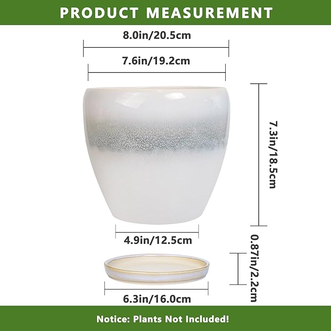 Ceramic Pots for Plants - Image 3
