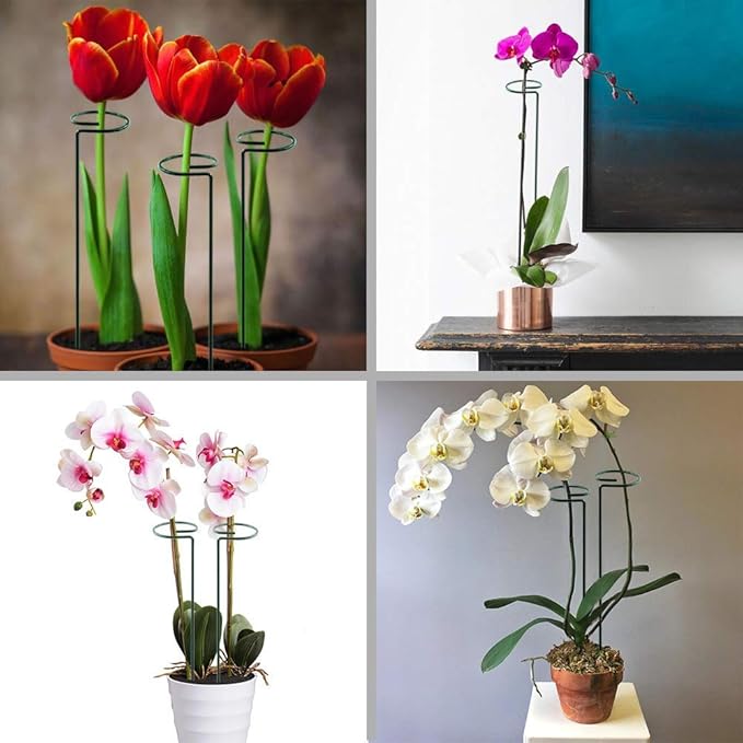 HiGift 10 Pack 24 inch Plant Stakes and Supports, Metal Flower Stakes - Image 4