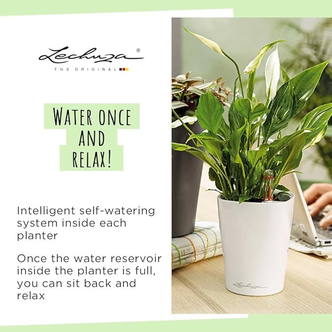 Lechuza 14903 Deltini Self-Watering Planter - Image 6