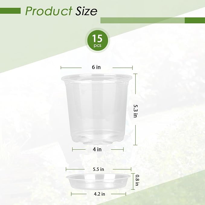 6 Inch Clear Nursery Pots for Plants - Image 2