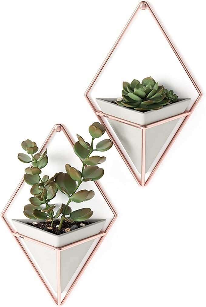 Umbra Trigg Hanging Planter Vase Wall Decor, Faux Plants, and More by Umbra