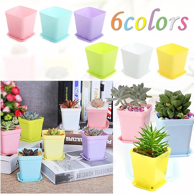 Haawooky 48 PCS 3 Inch Colorful Plastic Plant Pot, Plastic Square Nursery Pots - Image 4