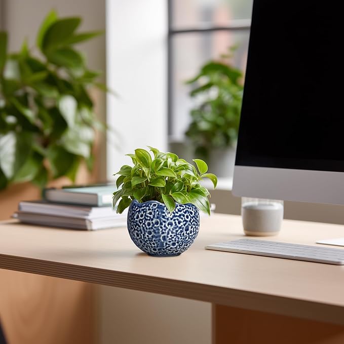 4 inch Plant Pots - Image 3