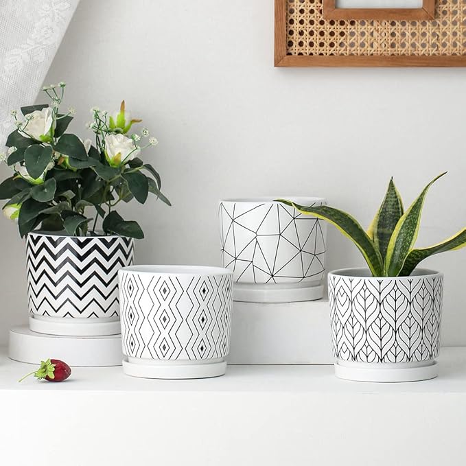 Ton Sin Plant Pots, 5.5 Inch White Pots - Image 5