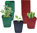 Square Plastic Nursery Pot 3" 120 Pcs Deep Succulent Pots Small Flower Planter by RooTrimmer