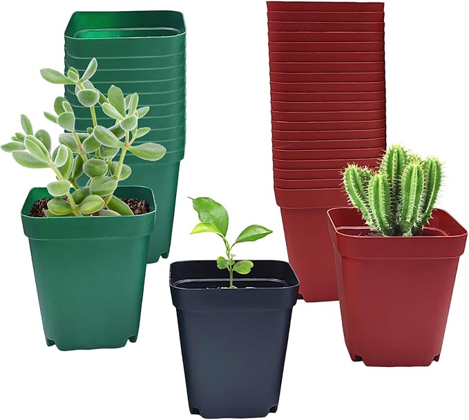 Square Plastic Nursery Pot 3" 120 Pcs Deep Succulent Pots Small Flower Planter by RooTrimmer