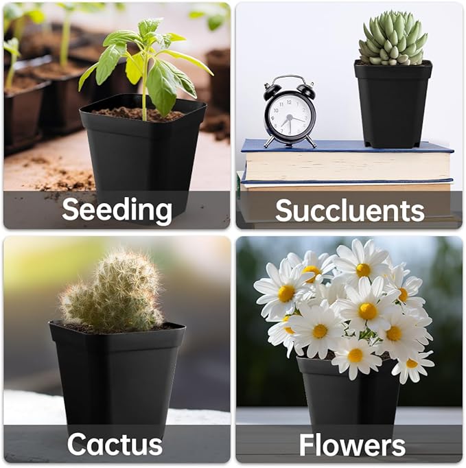 BTPLASTIK Small Plant Pots 3.5 Inch, Durable Plastic Succulents Pots - Image 5