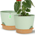 Self Watering Green Plastic Plant Pot Flower Planters by SESUN-E