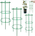 12 Packs Plant Support Stakes, Plant Support by Unknown