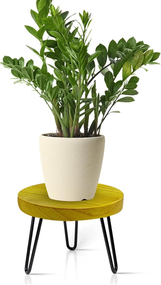 Plant Stand Indoor Outdoor Wood Mid Century Plant Stand by Welcometoobtain