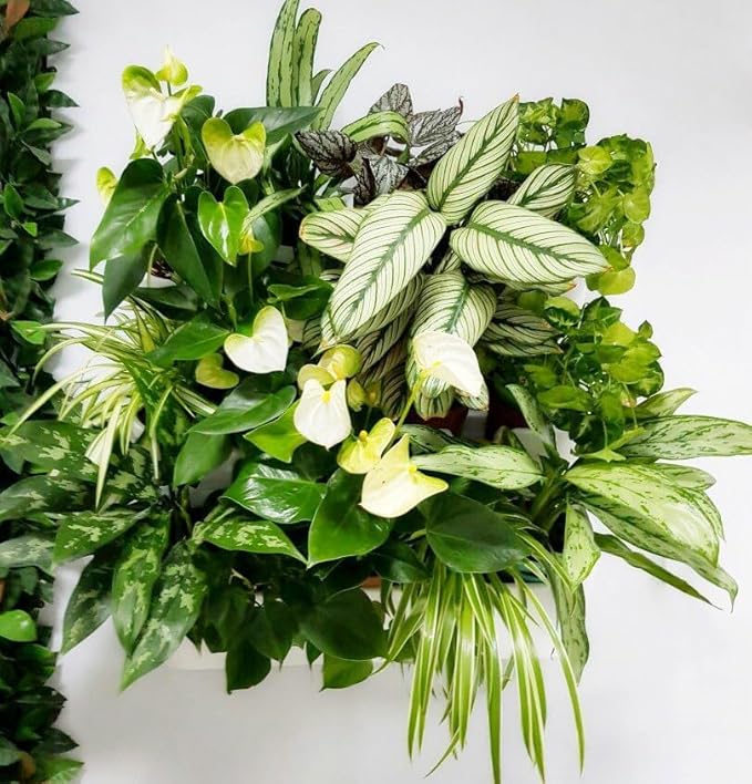 BOXSAND-12 Vertical Wall Planter - Image 11