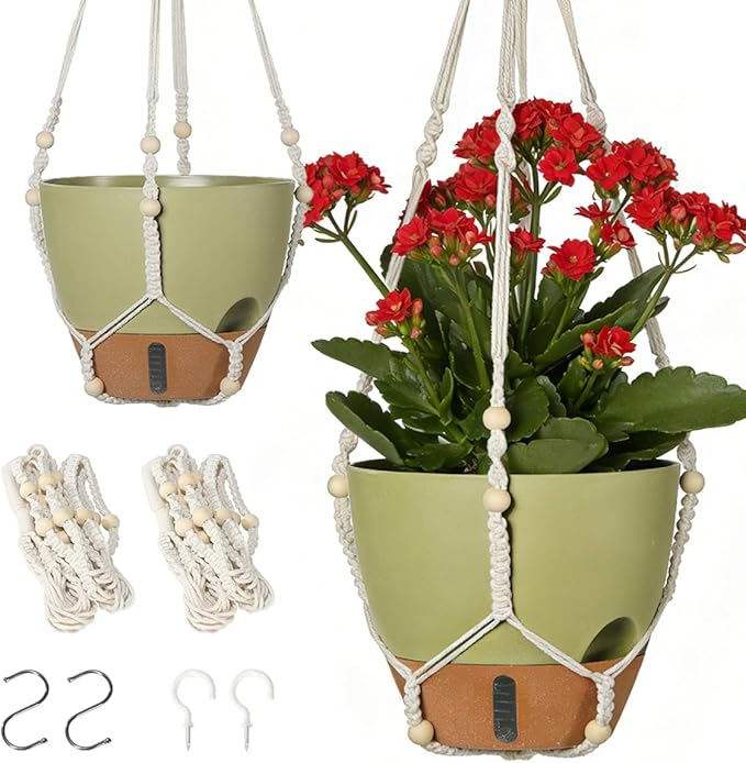Self-Watering Hanging Planters for Indoor Plants Set 2-Piece Includes Plant by Unknown