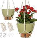 Self-Watering Hanging Planters for Indoor Plants Set 2-Piece Includes Plant by Unknown